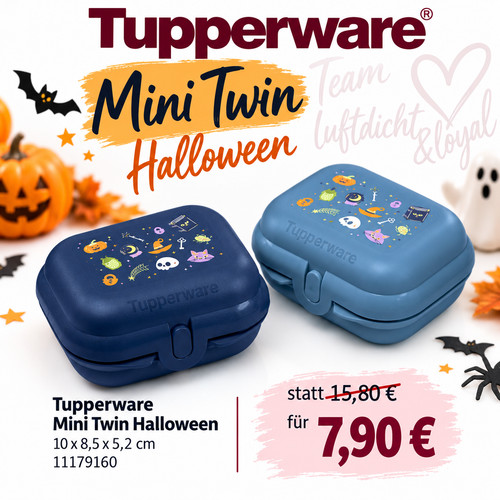 Tupperware mini twin box - twin,