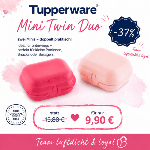 Tupperware mini twin - mini, box