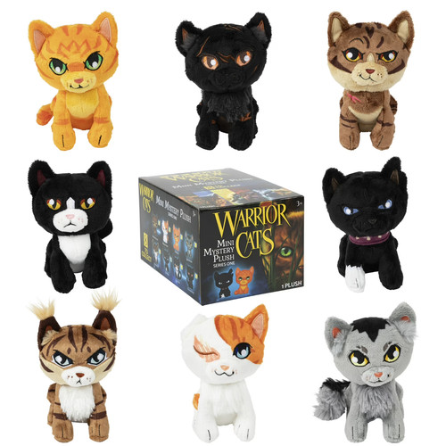 Warrior cats blind - cats, box